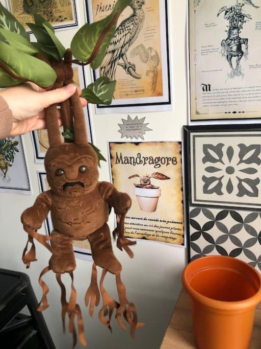 Maison Harry Potter Pour 6 Personnes En Centre Ville Монтобан Екстериор снимка